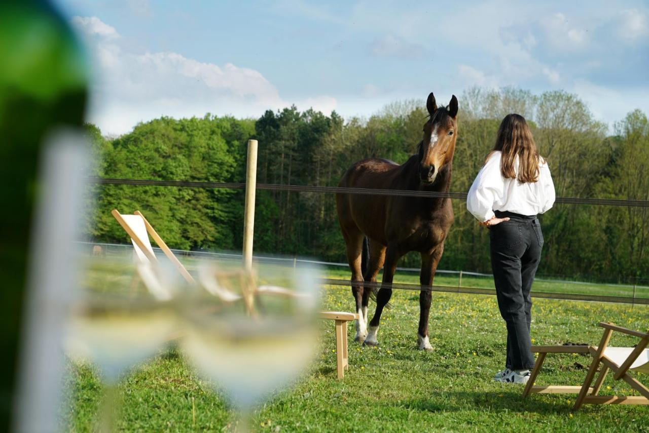 Tiny House Centre Equestre - 35 Mins De Paris Villa Chambly Ngoại thất bức ảnh